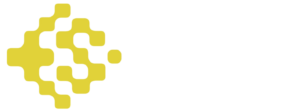 Dictum Company MX